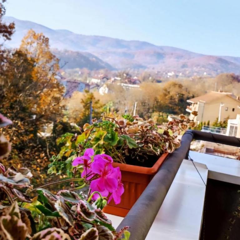 BlueSky - Apartman sa 1 Spavaćom Sobom - 15