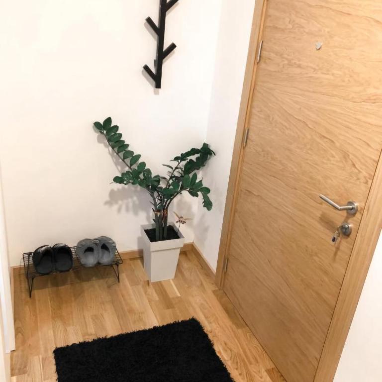 BlueSky - Apartman sa 1 Spavaćom Sobom - 6