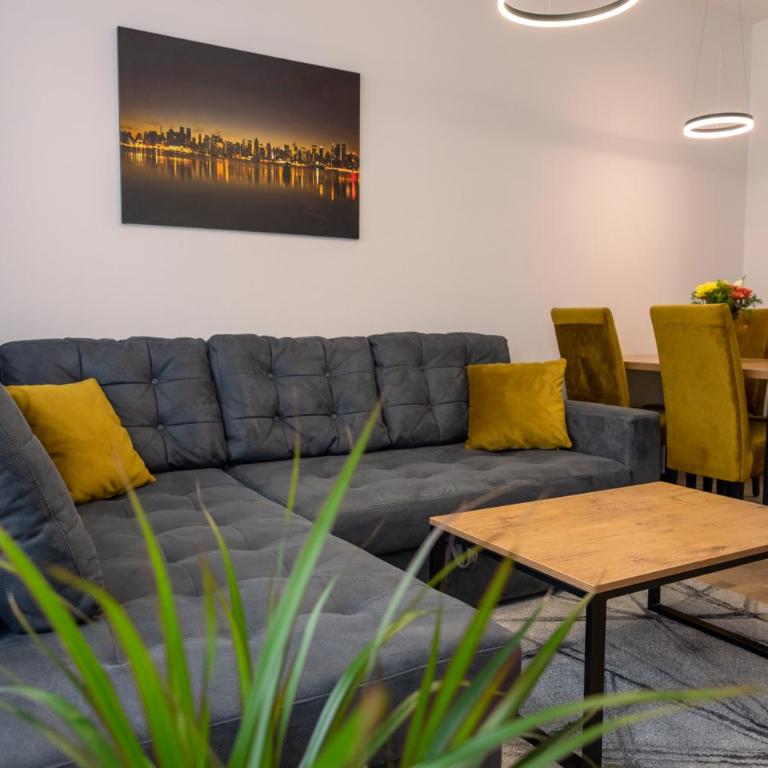 Drobac apartment - Apartman sa 1 Spavaćom Sobom - 22