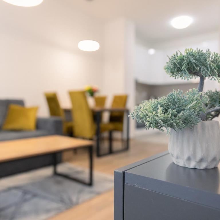 Drobac apartment - Apartman sa 1 Spavaćom Sobom - 20