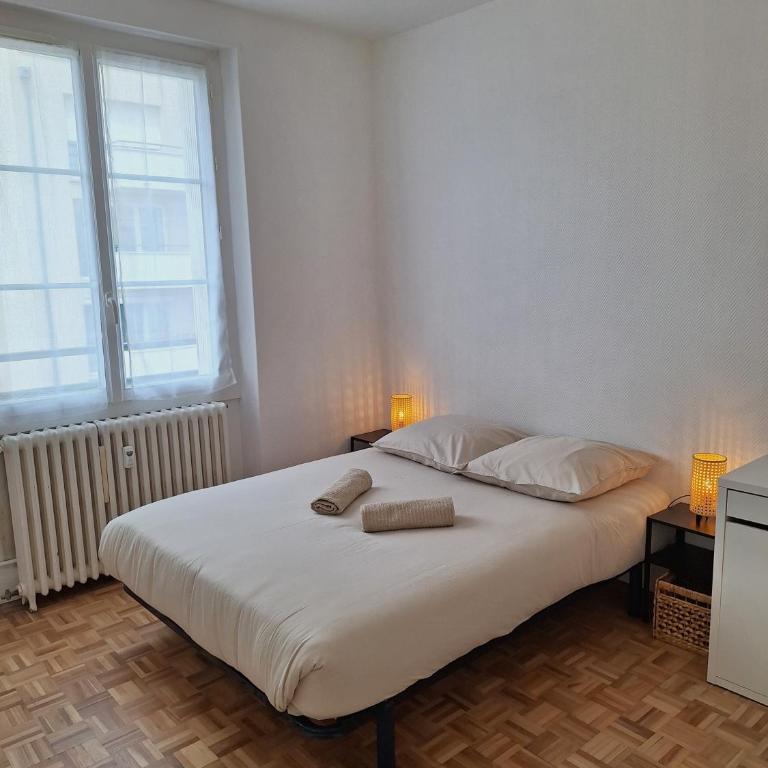 2 Appartements 6 personnes Orléans Centre - Proche gare SNCF - Appartement 3 Chambres - 18