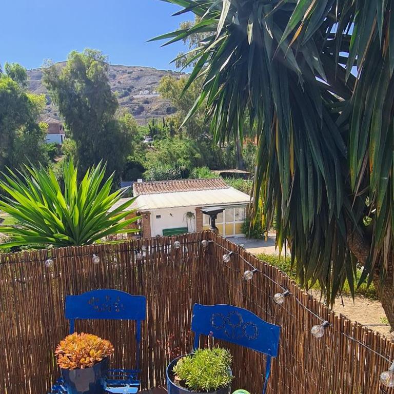 La Sureña - One-Bedroom Apartment - 18