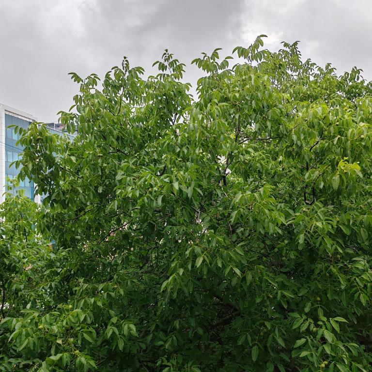 Sweet house - Apartman sa 2 Spavaće Sobe - 17