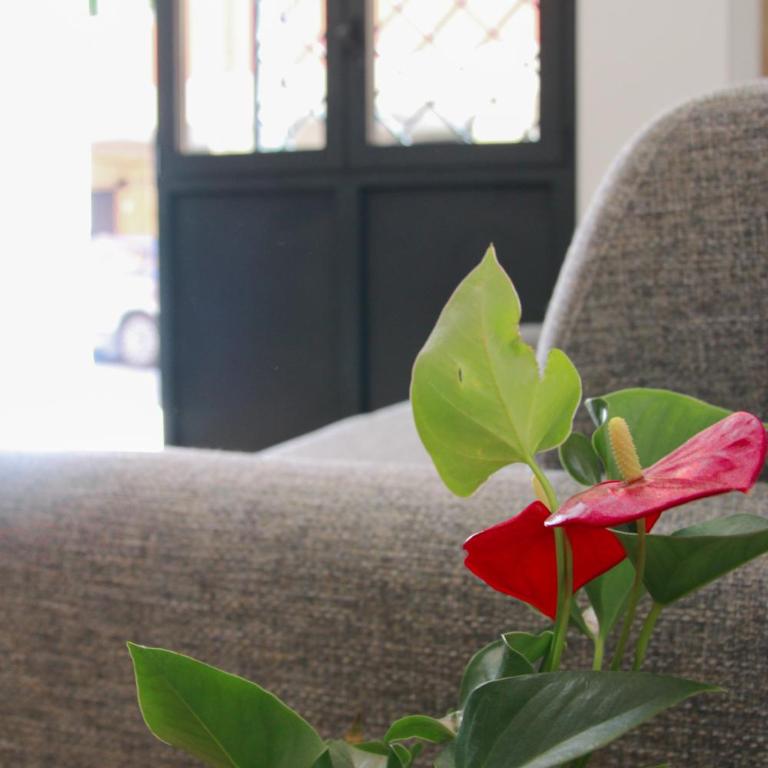 U Zone Apartment - One-Bedroom Apartment - 41