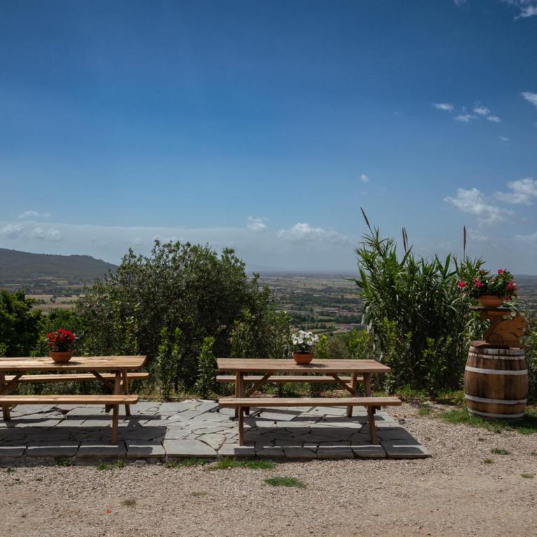 L'Antico Casale Tuscany Charme & Unique Pool 5-star - Five-Bedroom House - 51