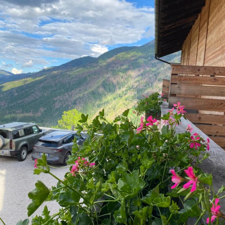 Hotel Almhof - Familienzimmer mit Balkon - 1