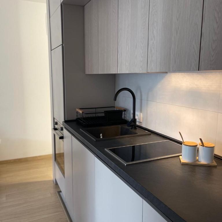 Apartman Mandić Žabljak - One-Bedroom Apartment - 8