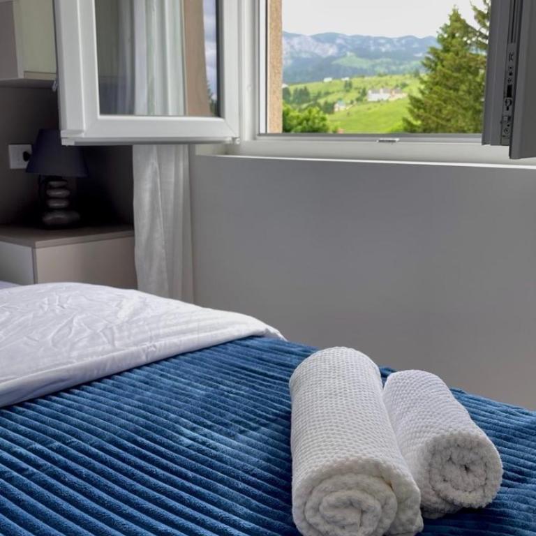 Apartman Mandić Žabljak - One-Bedroom Apartment - 17