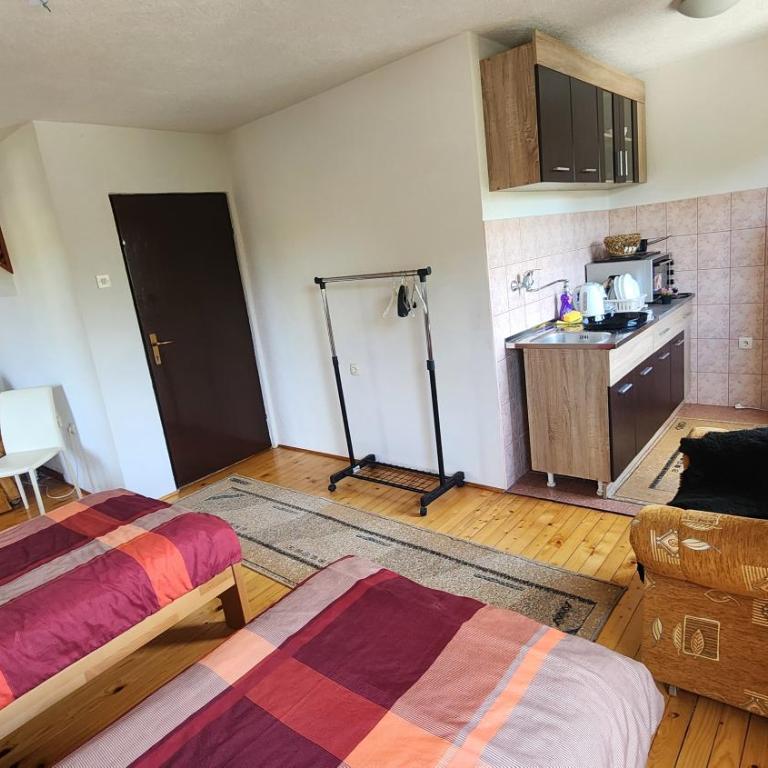 Apartmani Lavirint Ravne - One-Bedroom Apartment - 3