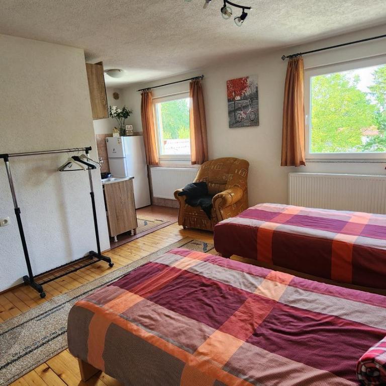 Apartmani Lavirint Ravne - One-Bedroom Apartment - 13