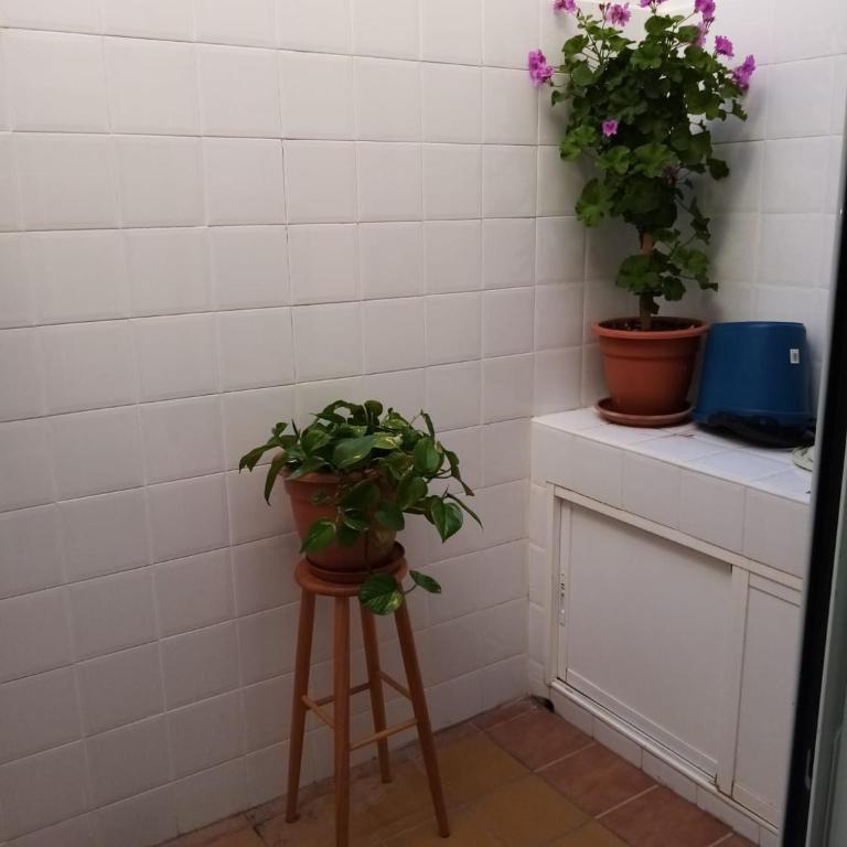 Apartamentos Turísticos Isla Grosa - Bungalow de 2 dormitorios - 15