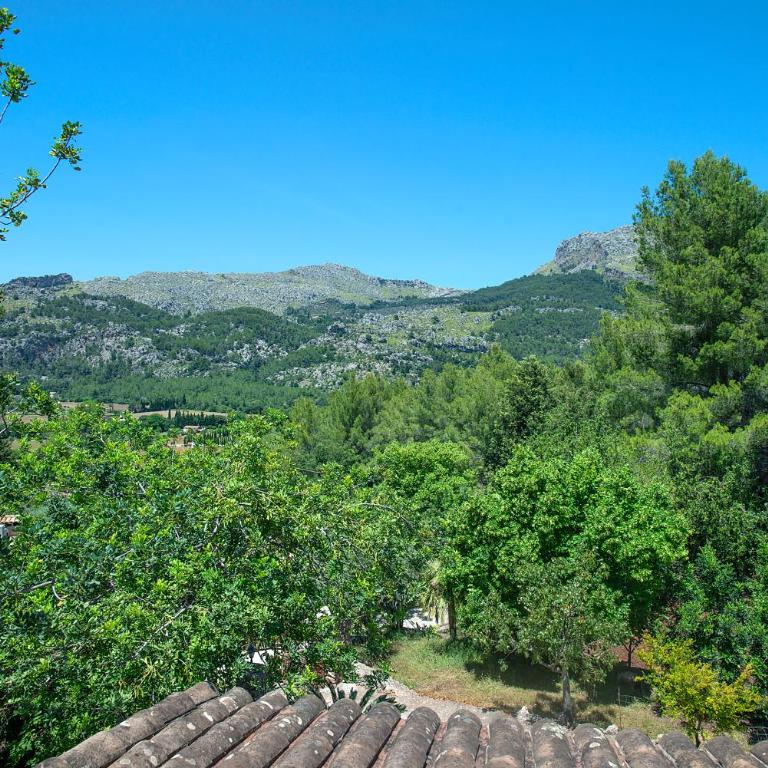 Owl Booking Villa Picasa Alt - Surounded by Nature - Villa con piscina privada - 34