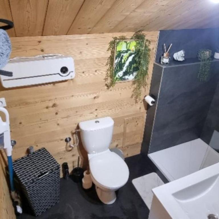 Studio type chalet - Appartement 1 Chambre - 11