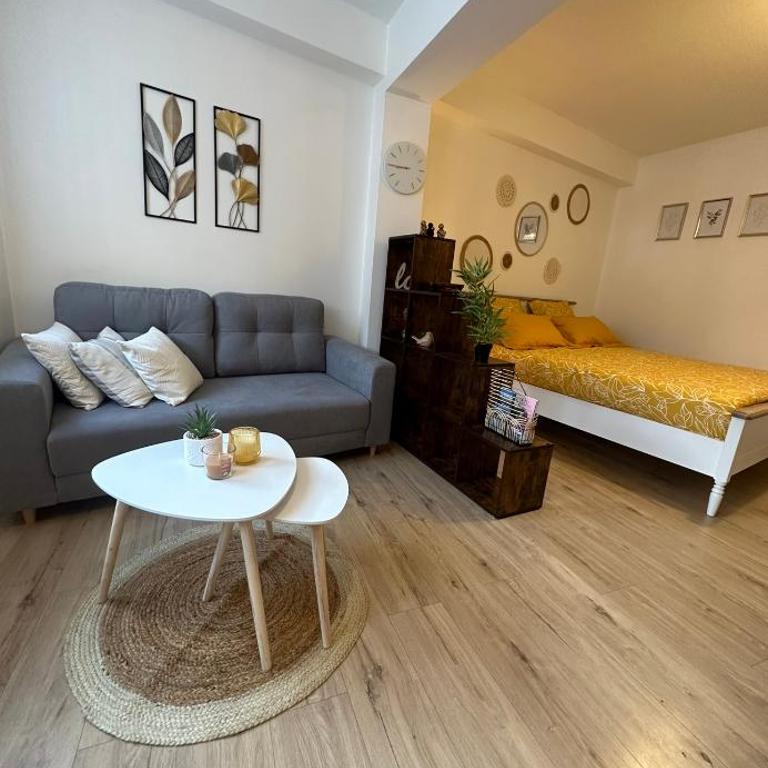 Appartement neuf entièrement équipé proche centre - Appartement 1 Chambre - 2
