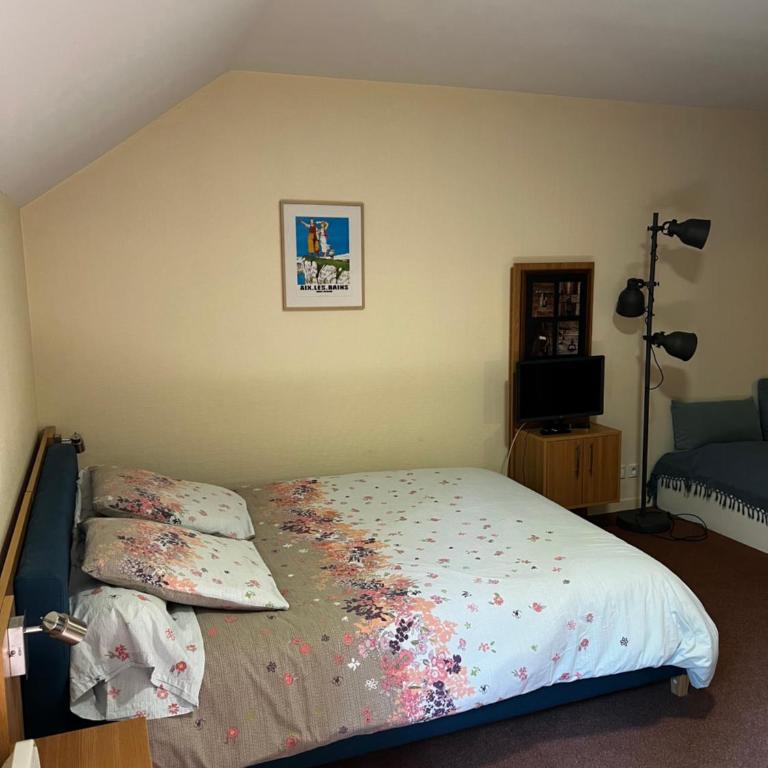 Studio aux pieds des pistes, des chemins de Rando - Apartment mit 1 Schlafzimmer - 7
