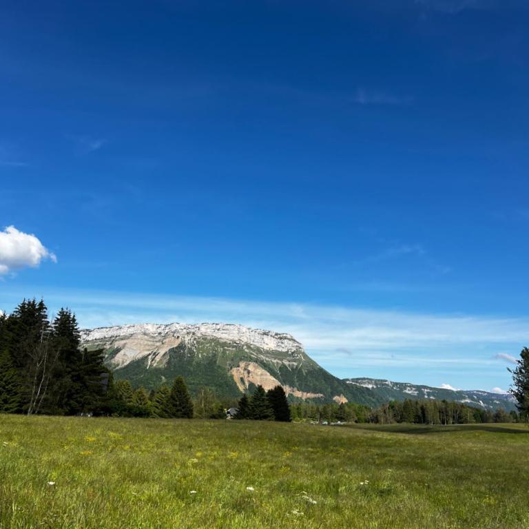 Studio aux pieds des pistes, des chemins de Rando - Apartment mit 1 Schlafzimmer - 18