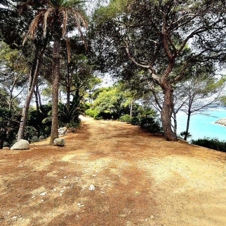 Appartement Carrer del fonoll - Apartamento con vistas al mar - 50