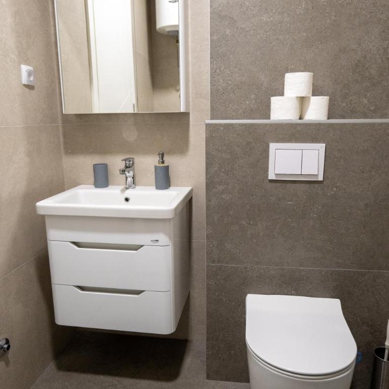 Drobac apartment - Apartman sa 1 Spavaćom Sobom - 8