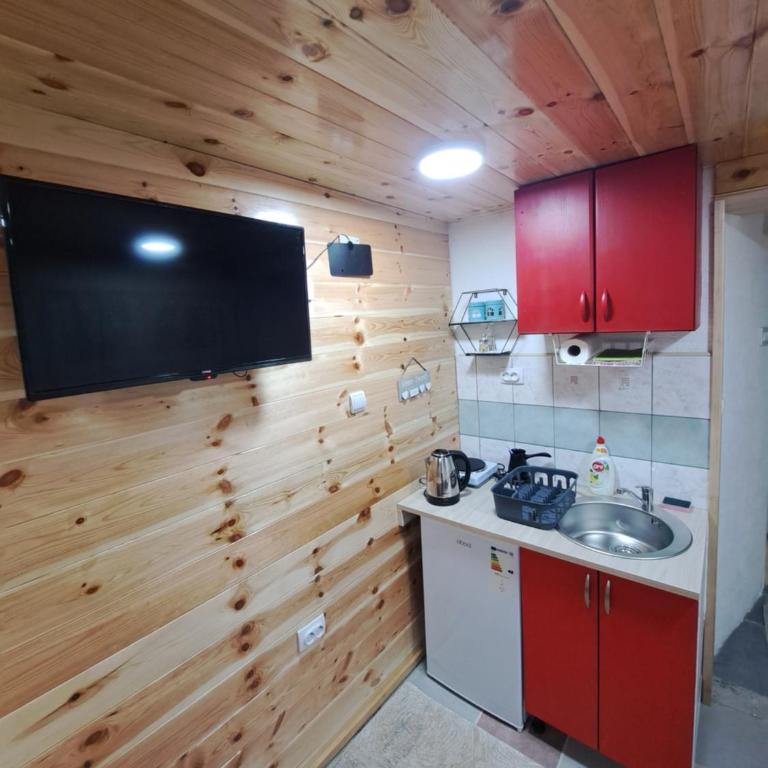 Apartman Aleksandra 2 - One-Bedroom Apartment - 10