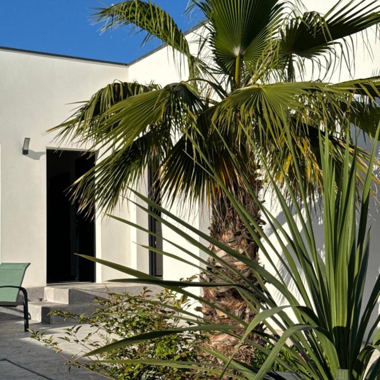 Villas Ambiance 21 Elégance Méditerranéenne à Portiragnes, entre Terre et Mer Villa Helma - Villa 2 Chambres - 3