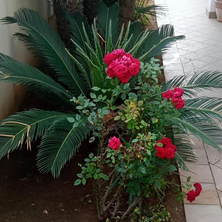 Viki House Mazara - Appartamento con 2 Camere da Letto - 21