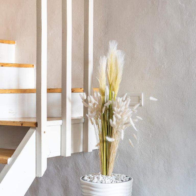 [Piazza Santo Spirito] Appartamento con 2 Camere Matrimoniali - Appartamento con 2 Camere da Letto - 25