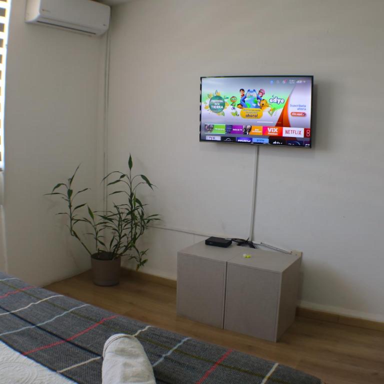 Pino Apartment - Apartamento de 2 dormitorios - 25