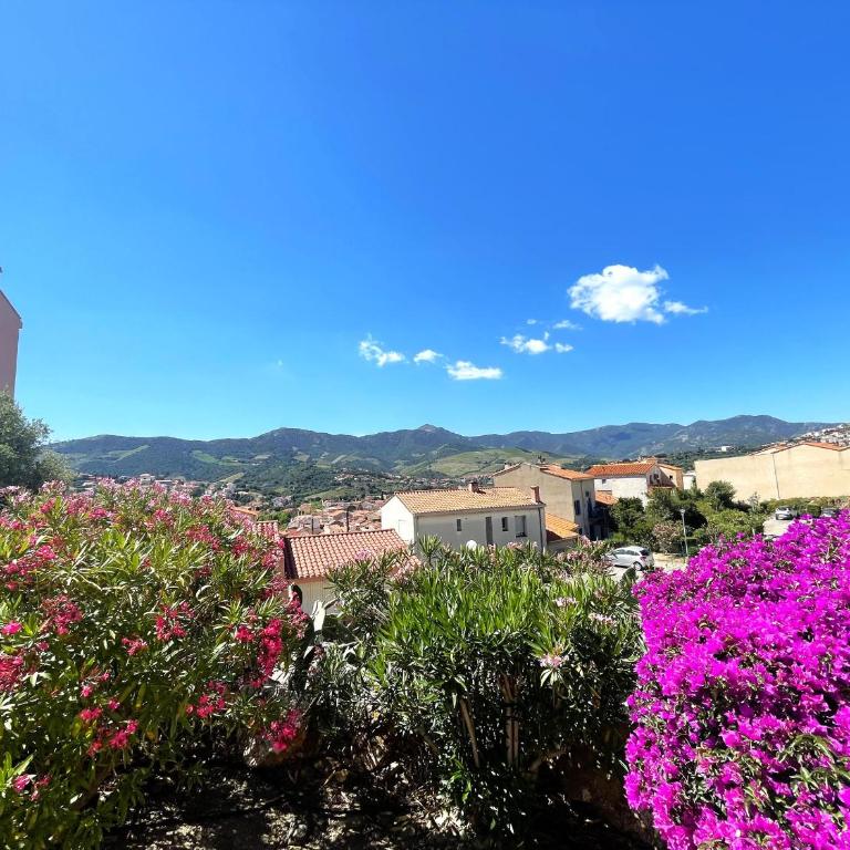 Charmant T2 avec terrasse entre plages à Banyuls-sur-Mer - FR-1-309-413 - Apartamento de 1 dormitorio - 1