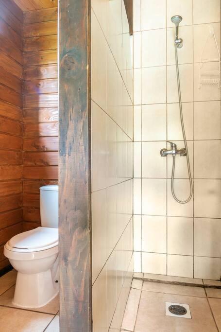 Cabaña campo Pucon - Casa con 1 dormitorio - 28