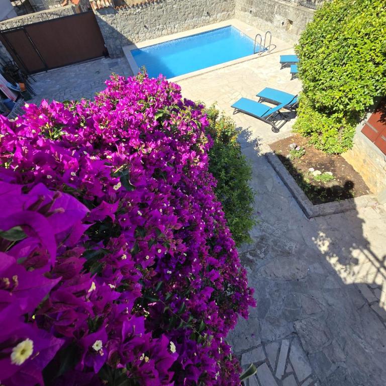 Villa Mara Lustica Bay Retreat near Kotor, Tivat - Three-Bedroom Villa - 4