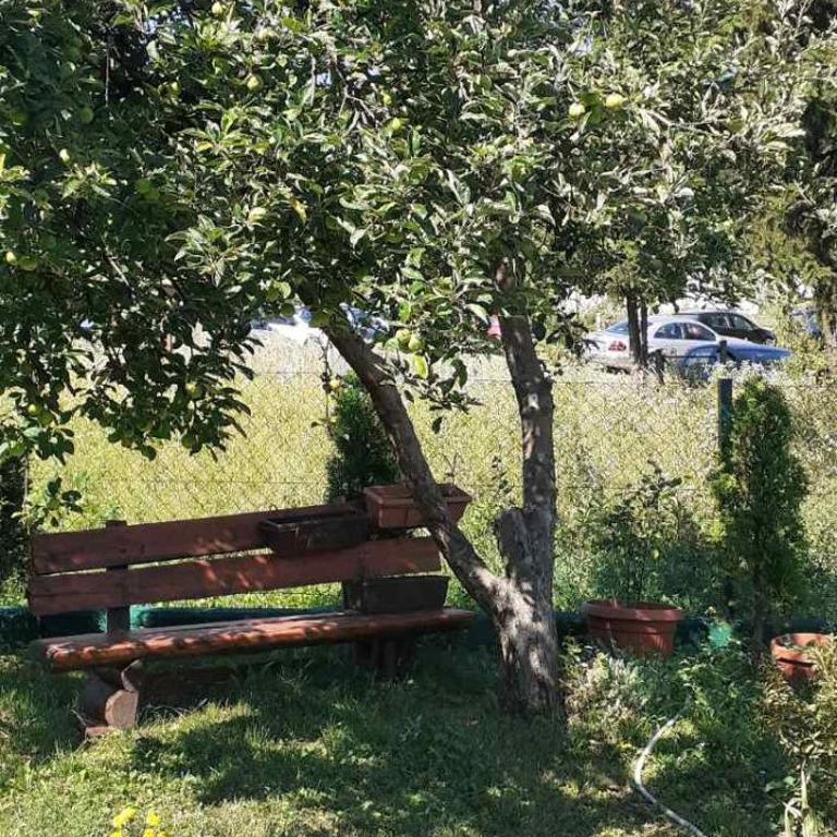 Pansion Panonika - Apartman sa 2 Spavaće Sobe - 18