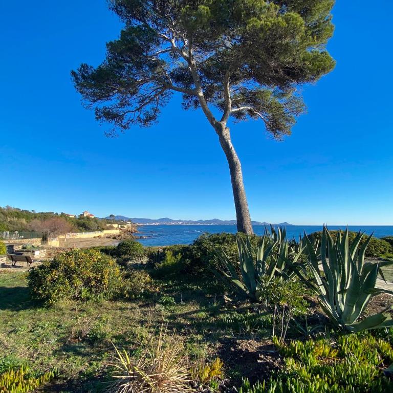 Appartement vue mer, au calme, proche de toutes commodités - Apartment mit 1 Schlafzimmer - 9