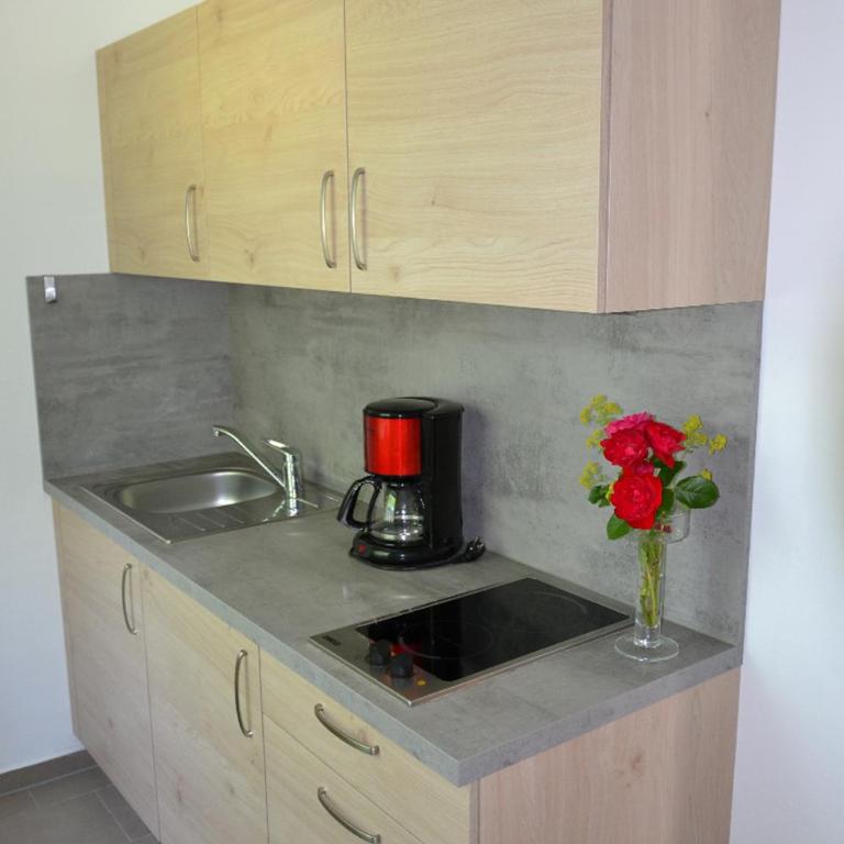 Ferienwohnungen Schiller - Apartment mit 1 Schlafzimmer und Balkon - 5
