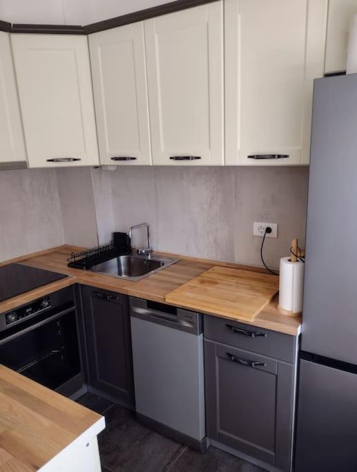 Harmonia Vracar - Apartman sa 2 Spavaće Sobe i Balkonom - 10