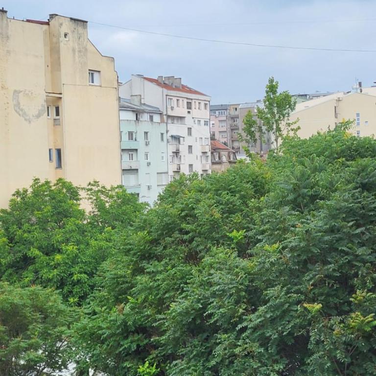 Bulevar Plus - Apartman sa 1 Spavaćom Sobom - 25