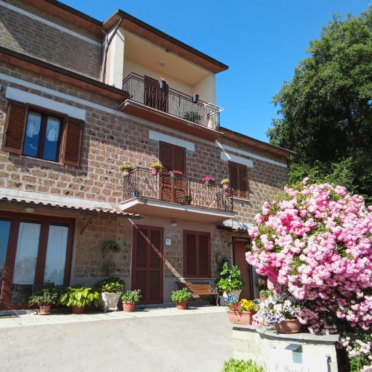 Casa vacanze il Mandolino tra Orvieto e Bolsena - Appartamento con 1 Camera da Letto - 21