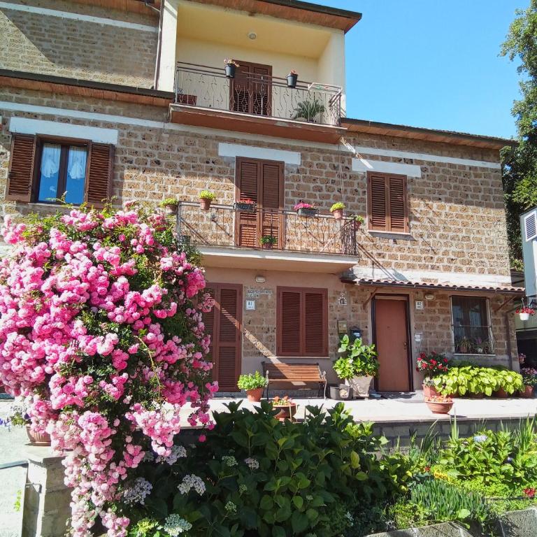 Casa vacanze il Mandolino tra Orvieto e Bolsena - Appartamento con 1 Camera da Letto - 2