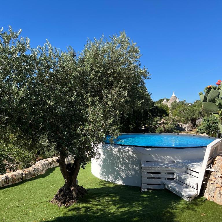 Casa Don Carmelo-Holiday' s Food Experience - Casa con 4 camere da letto - 4