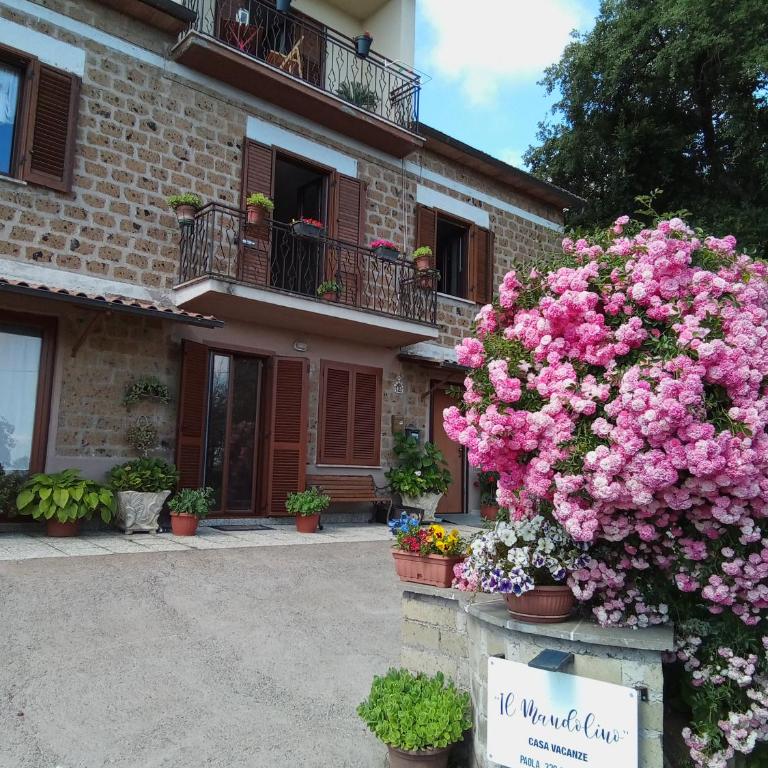 Casa vacanze il Mandolino tra Orvieto e Bolsena - Appartamento con 1 Camera da Letto - 7