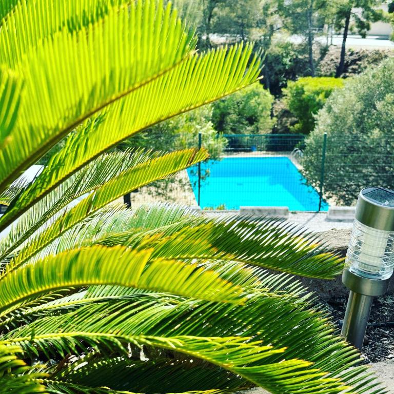VUEMER Bandol - GRANDE TERRASSE de 45m2 VUE MER PISCINE PARKING - Apartment mit 1 Schlafzimmer - 7