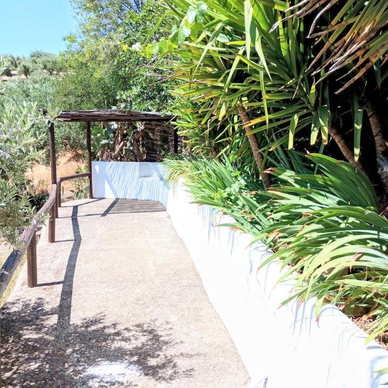 Casa Miguel Montefrio - Vacation Home - 60