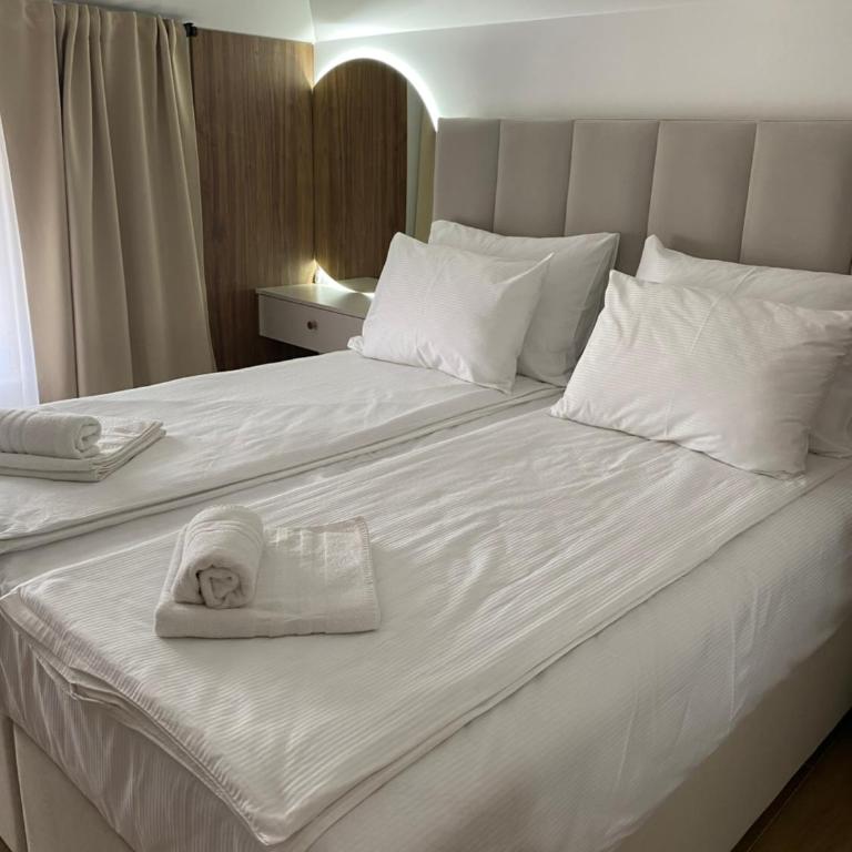 Apartmani Lazarevic Jagodina - Deluks Apartman sa 1 Spavaćom Sobom - 23