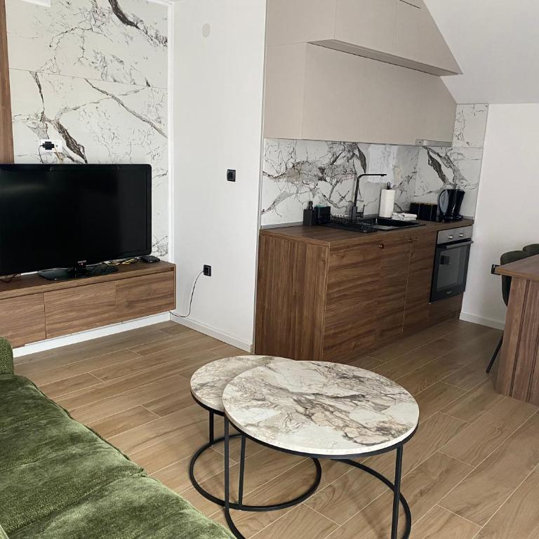 Apartmani Lazarevic Jagodina - Deluks Apartman sa 1 Spavaćom Sobom - 14