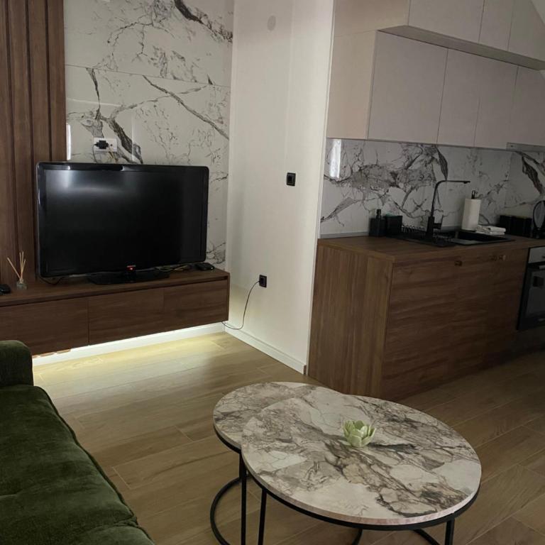 Apartmani Lazarevic Jagodina - Deluks Apartman sa 1 Spavaćom Sobom - 18