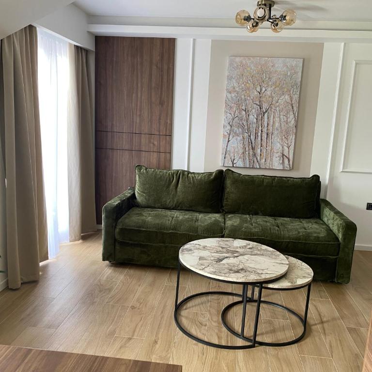 Apartmani Lazarevic Jagodina - Deluks Apartman sa 1 Spavaćom Sobom - 12