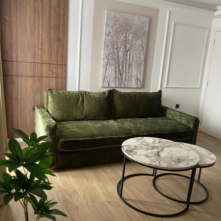 Apartmani Lazarevic Jagodina - Deluks Apartman sa 1 Spavaćom Sobom - 8