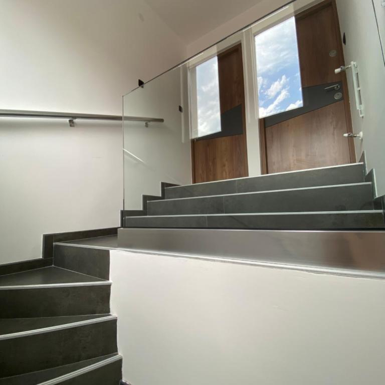 Apartmani Lazarevic Jagodina - Deluks Apartman sa 1 Spavaćom Sobom - 4