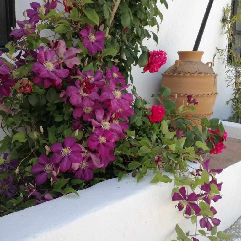 Casa Miguel Montefrio - Vacation Home - 61