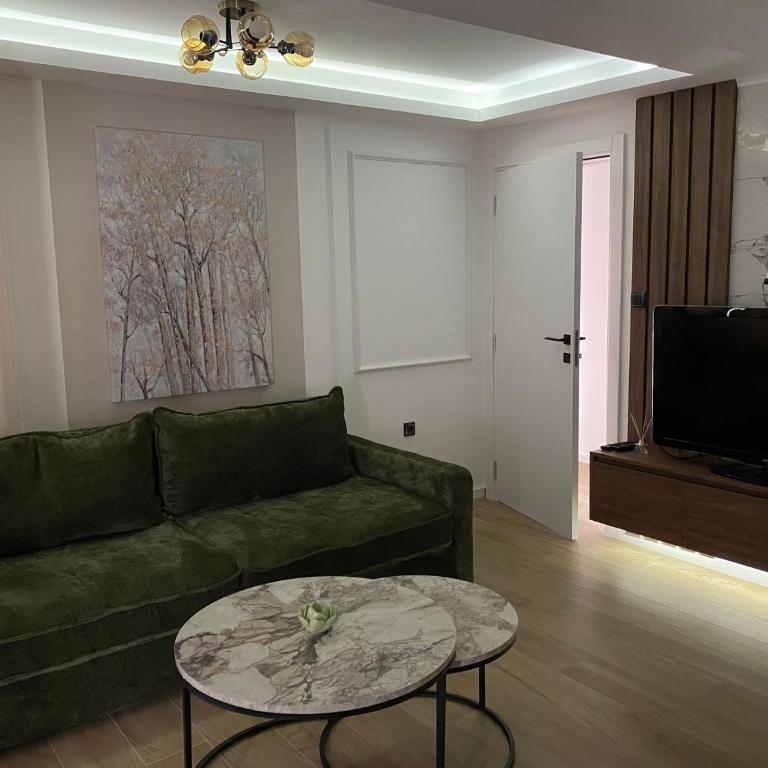 Apartmani Lazarevic Jagodina - Deluks Apartman sa 1 Spavaćom Sobom - 10