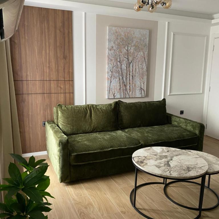 Apartmani Lazarevic Jagodina - Deluks Apartman sa 1 Spavaćom Sobom - 11